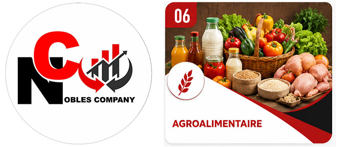 Nos expertises / Nos services SLIDE 6 2